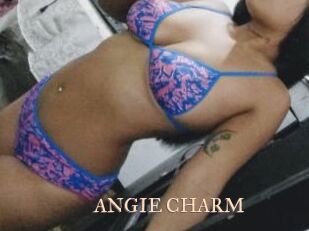 ANGIE_CHARM Pink Center Fold