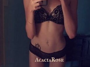 AcaciaRose