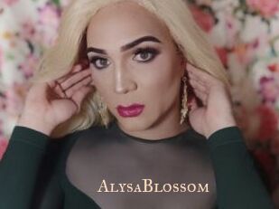 AlysaBlossom Pink Center Fold