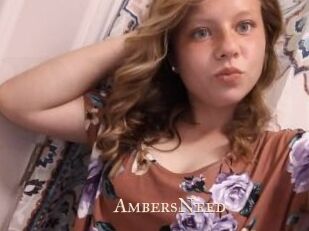 AmbersNeed