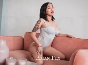 Asian_Fly