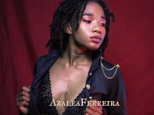 AzaleaFerreira Pink Center Fold