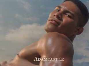 adamcastle Pink Center Fold
