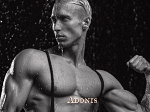 Adonis