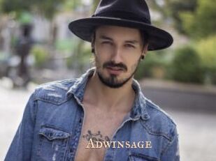 Adwinsage