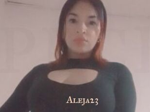 Aleja23