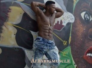 Alexbigmuscle