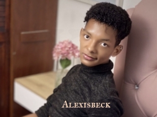 alexisbeck Pink Center Fold