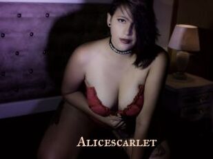 Alicescarlet