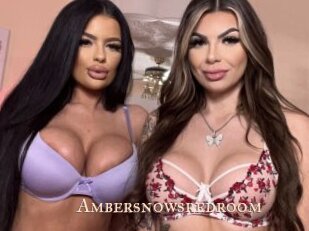 Ambersnowsredroom