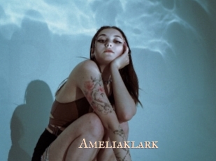 ameliaklark Pink Center Fold
