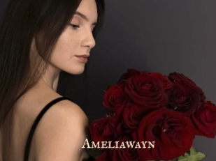 ameliawayn Pink Center Fold