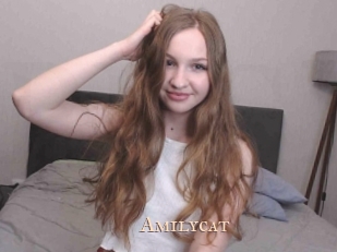 Amilycat