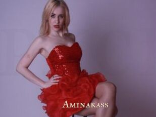 Aminakass