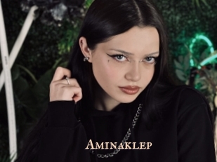 Aminaklep