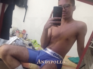 Andypolla