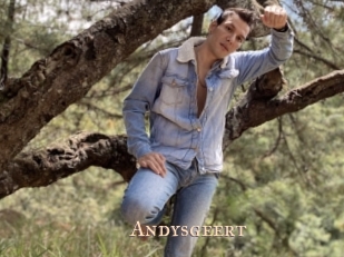 Andysgeert