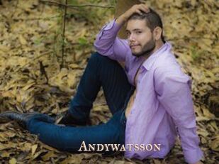 Andywatsson