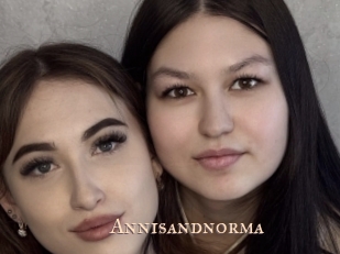 annisandnorma Pink Center Fold