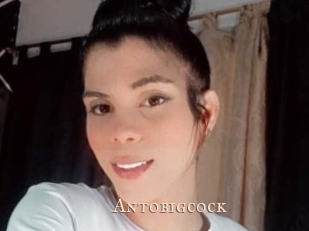 Antobigcock