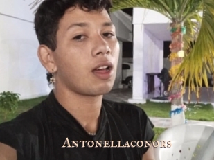 Antonellaconors