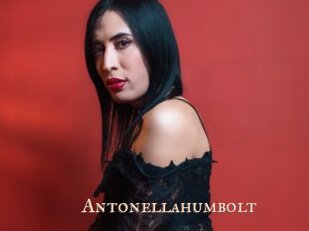 Antonellahumbolt