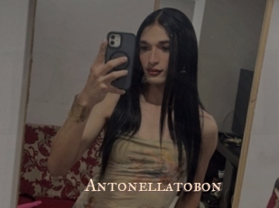 Antonellatobon