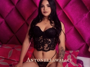 Antonellawalace