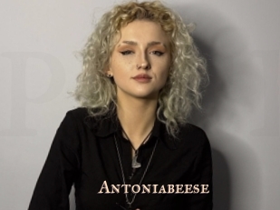 Antoniabeese