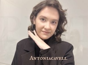 Antoniacavell