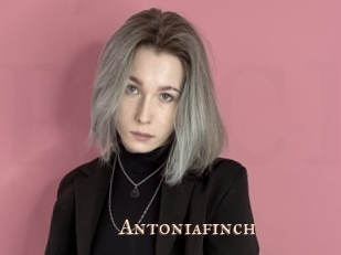 antoniafinch Pink Center Fold