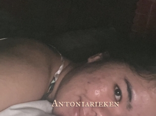 Antoniarieken