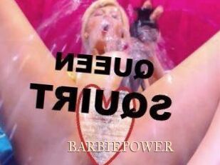 BARBIEPOWER Pink Center Fold