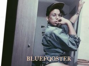 BLUEFOOSTER