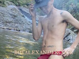 BOYALEXANDERCOCK