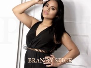 BRANDY_SPICE