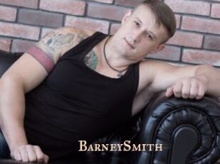 BarneySmith Pink Center Fold