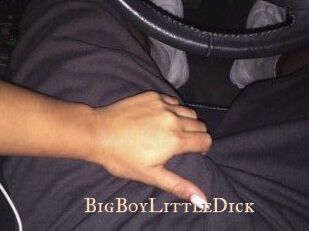 BigBoyLittleDick