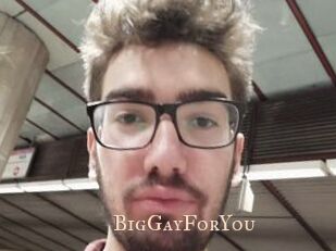 BigGayForYou