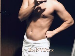 BigNVDick