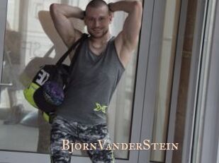 BjornVanderStein