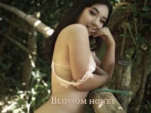 Blossom_honey