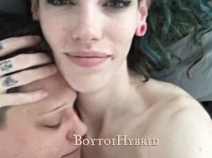 BoytoiHybrid