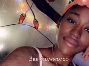 Bre_Shawn2020