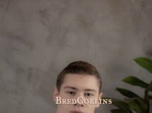BredCollins Pink Center Fold