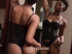 Breerose