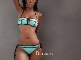 Brick23 Pink Center Fold