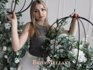 BrisaMellani Pink Center Fold