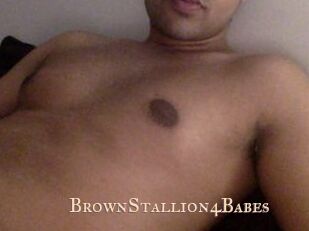 BrownStallion4Babes