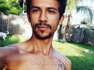 Bruce_Sullivan